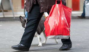 Person carrying a shopping with a dog