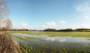 Waterlogged field