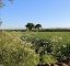 Countryside image