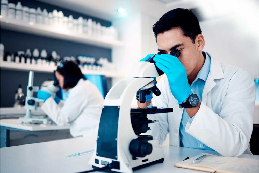 Scientists in a lab, looking into microscopes