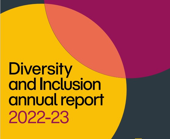 NAO Diversity and Inclusion Annual Report 2022-23 - National Audit Office