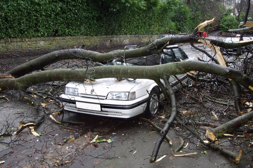 A large tree has fallen down across a parked car due to extreme weather